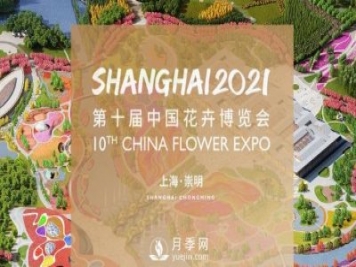 5月，第十届中国花博会将在崇明拉开帷幕