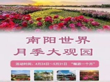 第十二届南阳月季花会4月29日开幕，活动丰富多彩
