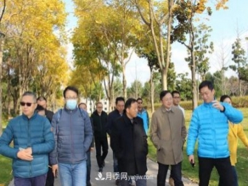 提升城市园林绿化，苏州向上海学什么？