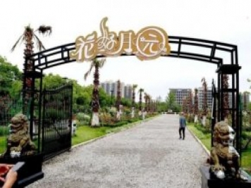 上海闵行区花好月园公园，万株月季怒放快来品